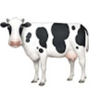 Meet your Posher, Cow